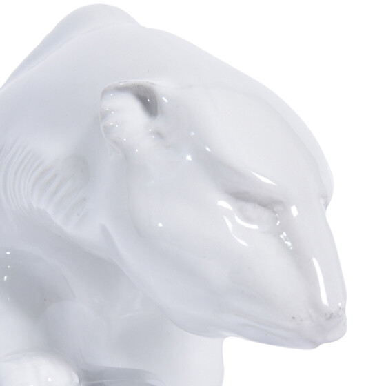 200831_eisbär_laufen_detail